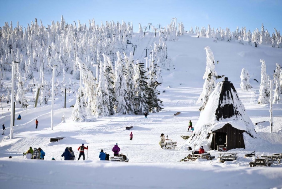 Nybegynnerkurs alpint 5. - 6. januar